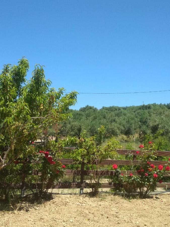 Eden Garden Villa Near Knossos Skalanion Экстерьер фото
